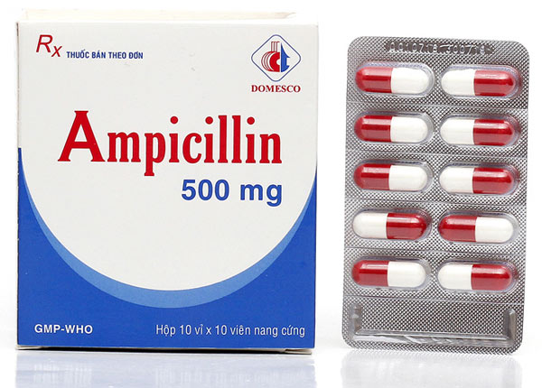 Thông tin về thuốc Ampicillin 500mg