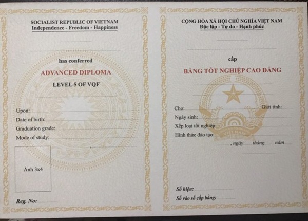 Mặt trong mẫu bằng