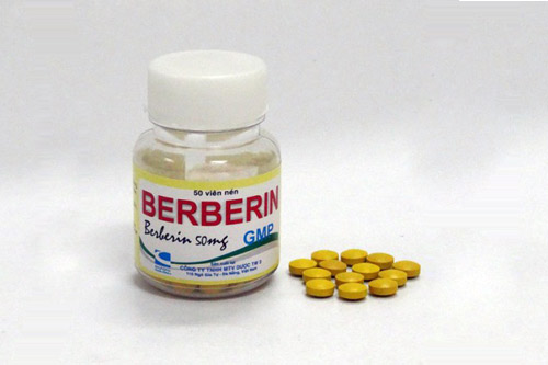 Thuốc Berberin thần dược chữa bệnh tiêu chảy Thuốc Berberin thần dược chữa bệnh tiêu chảy