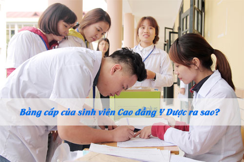 Bằng cấp của sinh viên Cao đẳng Y Dược mới nhất ra sao?