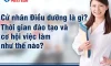Cử nhân Điều dưỡng là gì? Thời gian đào tạo và cơ hội việc làm như thế nào?