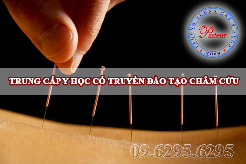 Trung cấp Y học cổ truyền có đào tạo châm cứu?