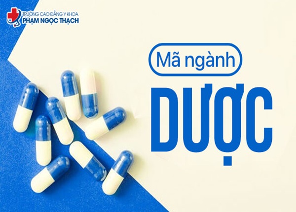 Mã ngành Cao đẳng Dược chính quy